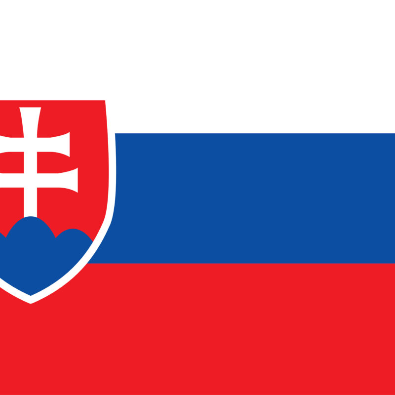 VCA Slovaaks